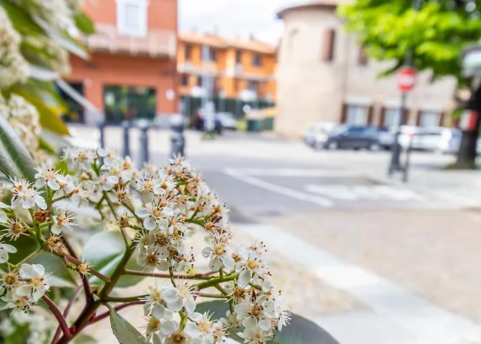 Apartman Da Birba A Affitti Brevi Italia *